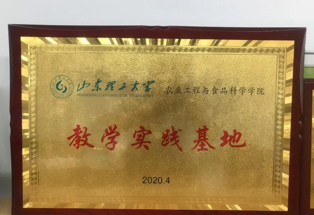 青島高新區(qū)企業(yè)與山東理工大學(xué)攜手共進(jìn)，共繪影視策劃新藍(lán)圖
